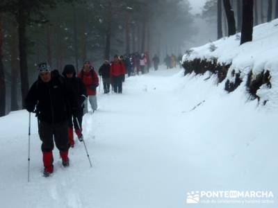 Descenso a Garganta de los Montes - Turismo Activo Madrid; bosque de irati